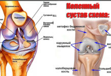 Боль в колене (Коленных суставах) Боль в колене (Коленных суставах)